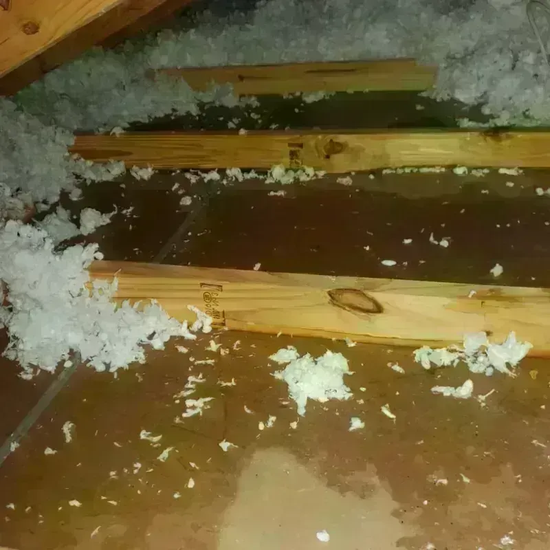 Attic Water Damage in Gilbert, IA