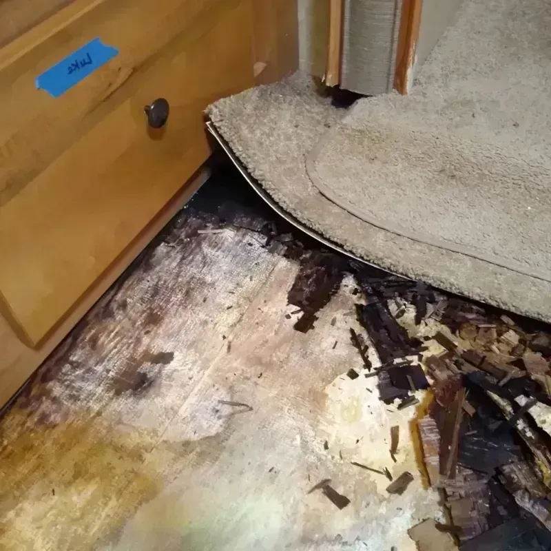 Wood Floor Water Damage in Gilbert, IA